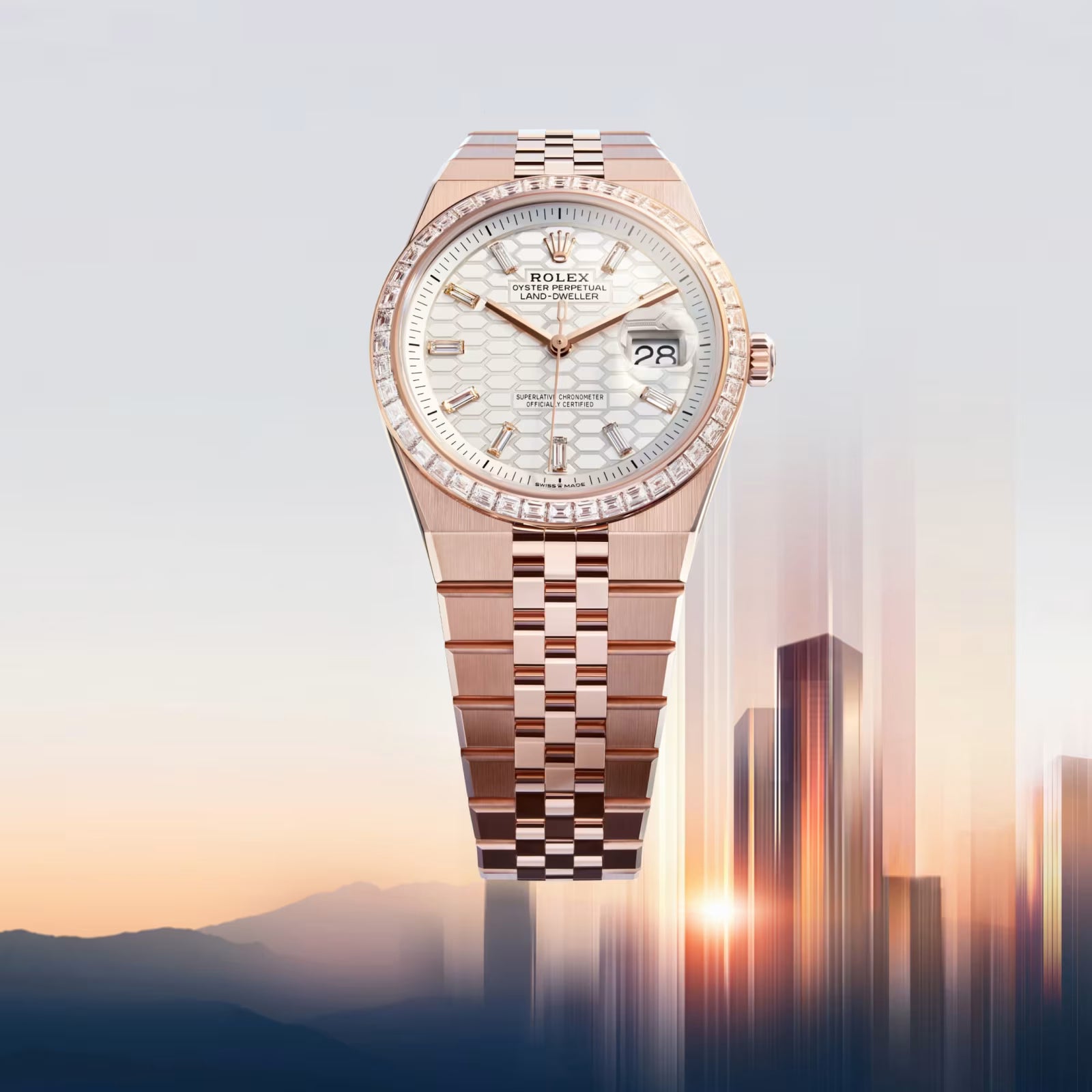 ROLE_X LAND DWELLER – 2025