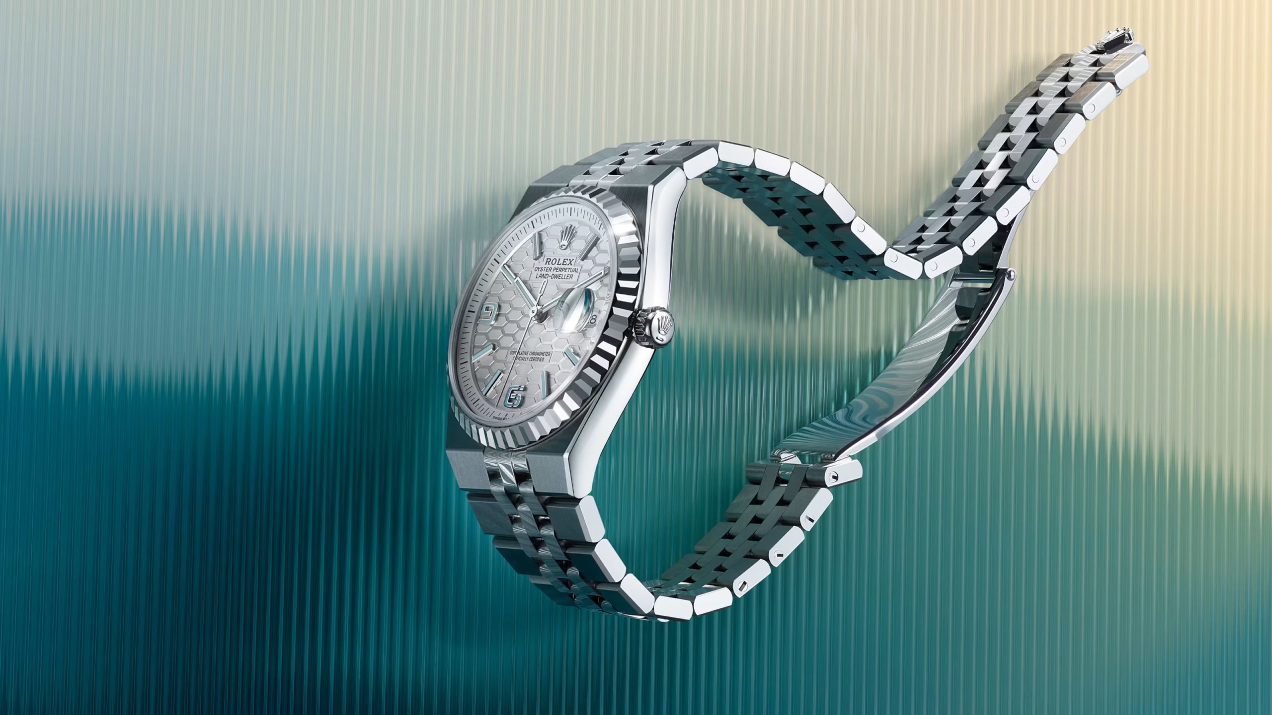 ROLE_X LAND DWELLER – 2025