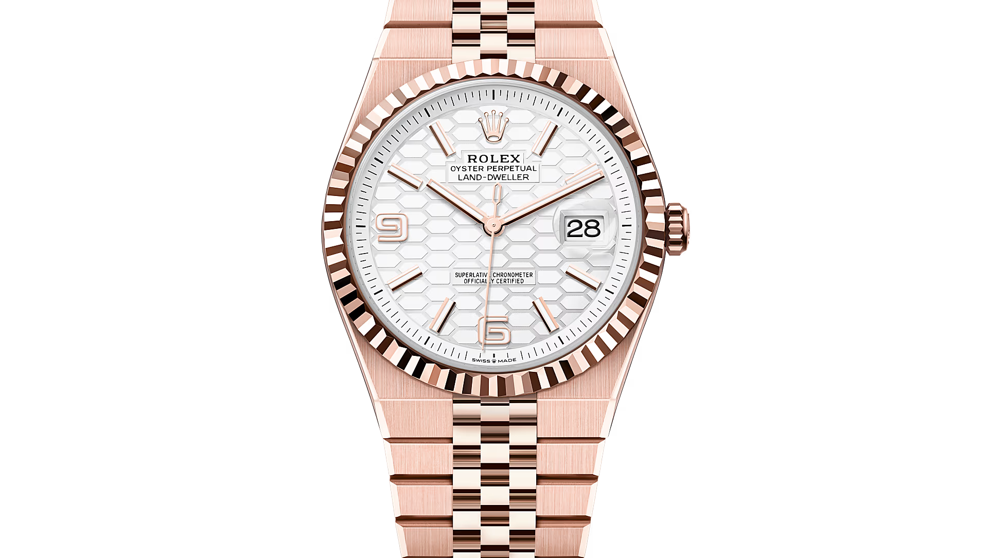 ROLE_X LAND DWELLER – 2025